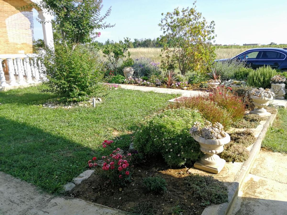 Villa Flora Maris Apartments Privlaka  Luaran gambar